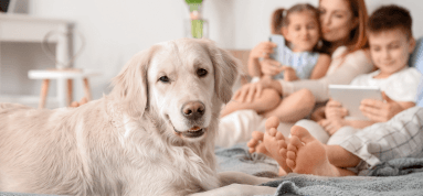 bobby terry company happy home AC air quality athens alabama bobby terry company happy home AC air quality athens alabama